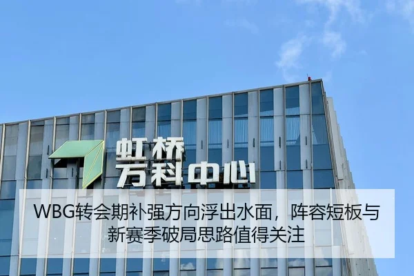 WBG转会期补强方向浮出水面，阵容短板与新赛季破局思路值得关注